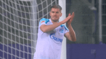 Football Reaction GIF by FC Schalke 04