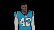 North Carolina Reaction GIF by Carolina Panthers