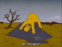 homer simpson GIF