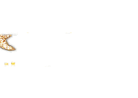 Awesome Game Sticker by Papa John's UK