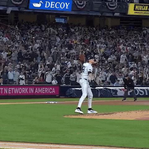 New York Yankees GIF by MLB