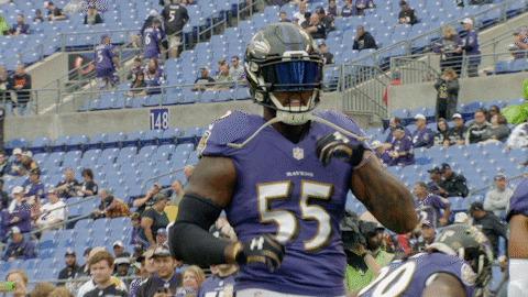 Happy National Football League GIF by Baltimore Ravens