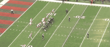 panthers GIF