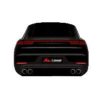 Fire Car Sticker by Fi EXHAUST