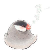 Sleepy Good Night Sticker