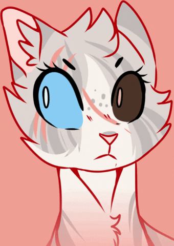 skoomacat420 giphygifmaker giphycreatortest GIF