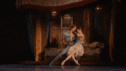 Enblecorsaire GIF by English National Ballet