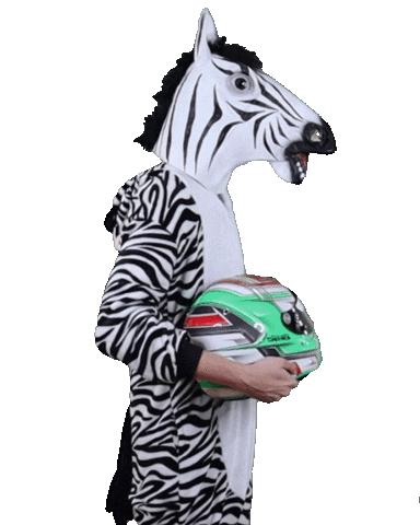 Esports Zebra Sticker by BS+COMPETITION