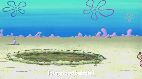 season 10 episode 3 GIF by SpongeBob SquarePants
