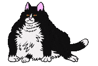 Cat Sticker by Spaghetti