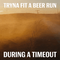 super bowl GIF by Budweiser