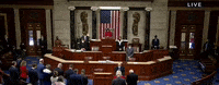 Congress Moment Of Silence GIF by GIPHY News