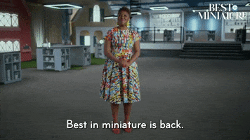 Season 2 Episode 1 Miniatures GIF by Best in Miniature
