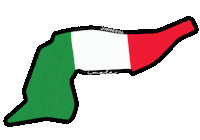 F1 Sticker