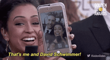 red carpet thats me and david schwimmer GIF by Golden Globes