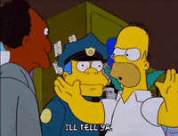homer simpson GIF