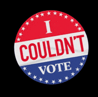 Election Day Vote GIF