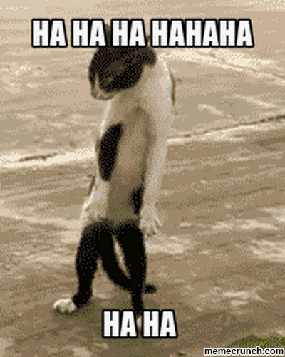 Video gif. Black and white cat standing on its hind legs, looking aggressive and demonic. Text, "ha ha ha hahaha ha ha."