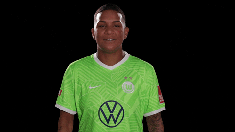 Lets Go Reaction GIF by VfL Wolfsburg