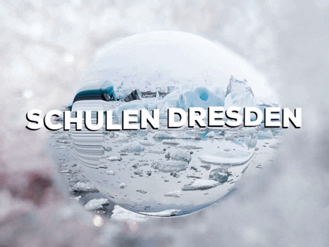 School Lol GIF by PrivatschulenPORTAL.de