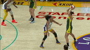 Los Angeles Sparks Nia Coffey GIF by The Official Page of the Los Angeles Sparks
