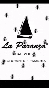 laparanza formiche laparanzavarese GIF