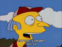 Season 3 Softball GIF by The Simpsons