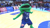 liga endesa basketball GIF by ACB