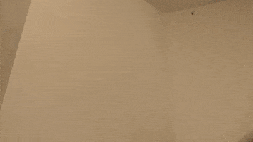 Think About It Ok GIF by Mane 'n Tail