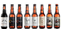 C13 Cervesa Artesana Sticker by Ctretze