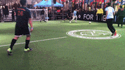 david villa football GIF