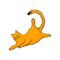 ChaulafanAtomico cat gatito gato loco chaulafanatomico Sticker