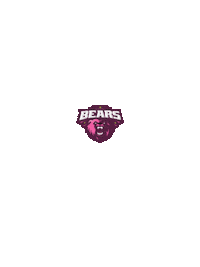 Bears Sticker by F45 Kapuk North