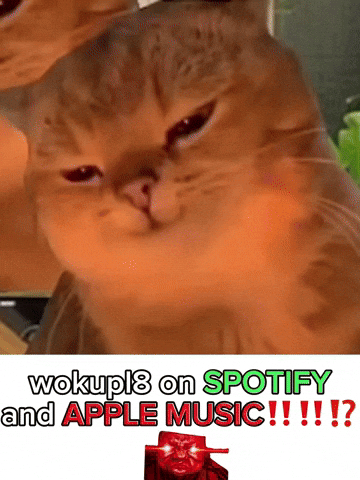 Funny Cat GIF