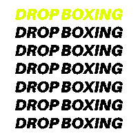 Neon Champ Sticker by DROP Boxing