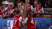 Champions Celebrate GIF by Cliftonville Football Club