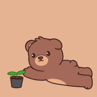 Youre The Best Teddy Bear GIF by BEARISH