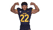 College Football Sticker by Toledo Rockets