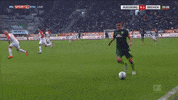 GIF by nss sports