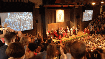 york uni graduation GIF by University of York
