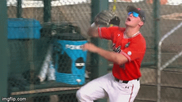 Ole Miss Baseball GIF by NCAA Championships