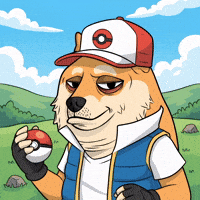 Shiba Inu Dog GIF by Doge Pound