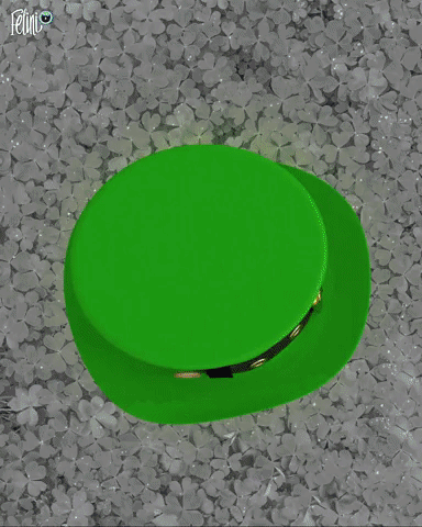 cats kittens GIF