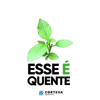 Herbicidas Sticker by Corteva Brasil