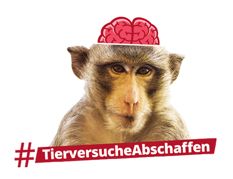 aerztegegentierversuche giphyupload vegan crueltyfree tierschutz Sticker