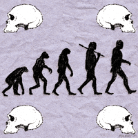 Fox Monkey GIF by Animation Domination High-Def