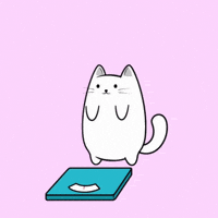 Smashing Weight Loss GIF by MESA My Emotional Support Animal