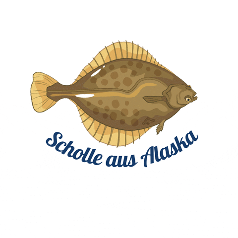 Meer GIF by Alaska Seafood