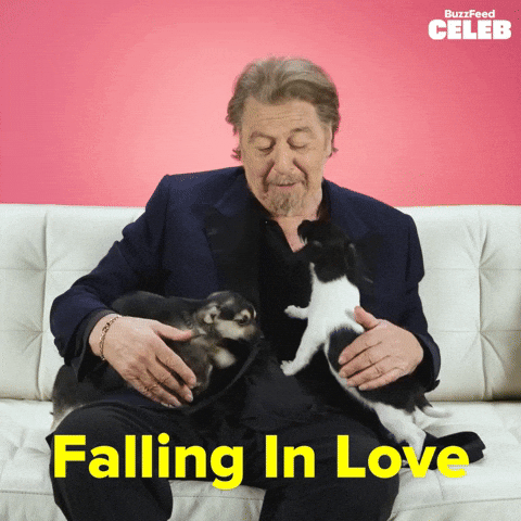 Al Pacino Puppy GIF by BuzzFeed