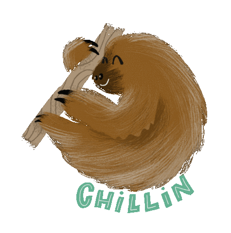 gulfbreezezoo giphyupload Sticker